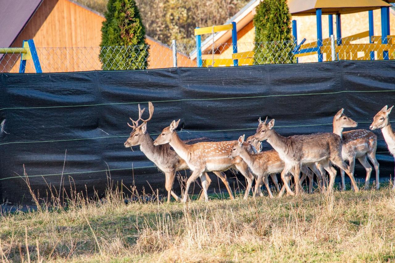 Grand Tatry - Miejsce Na Wyjatkowy Pobyt Dla Ciebie I Twojej Rodziny! - Sauna I Jacuzzi Wliczone W Cene Pobytu -10 Minut Pieszo Od Term Bania Bialka Tatrzanska Luaran gambar